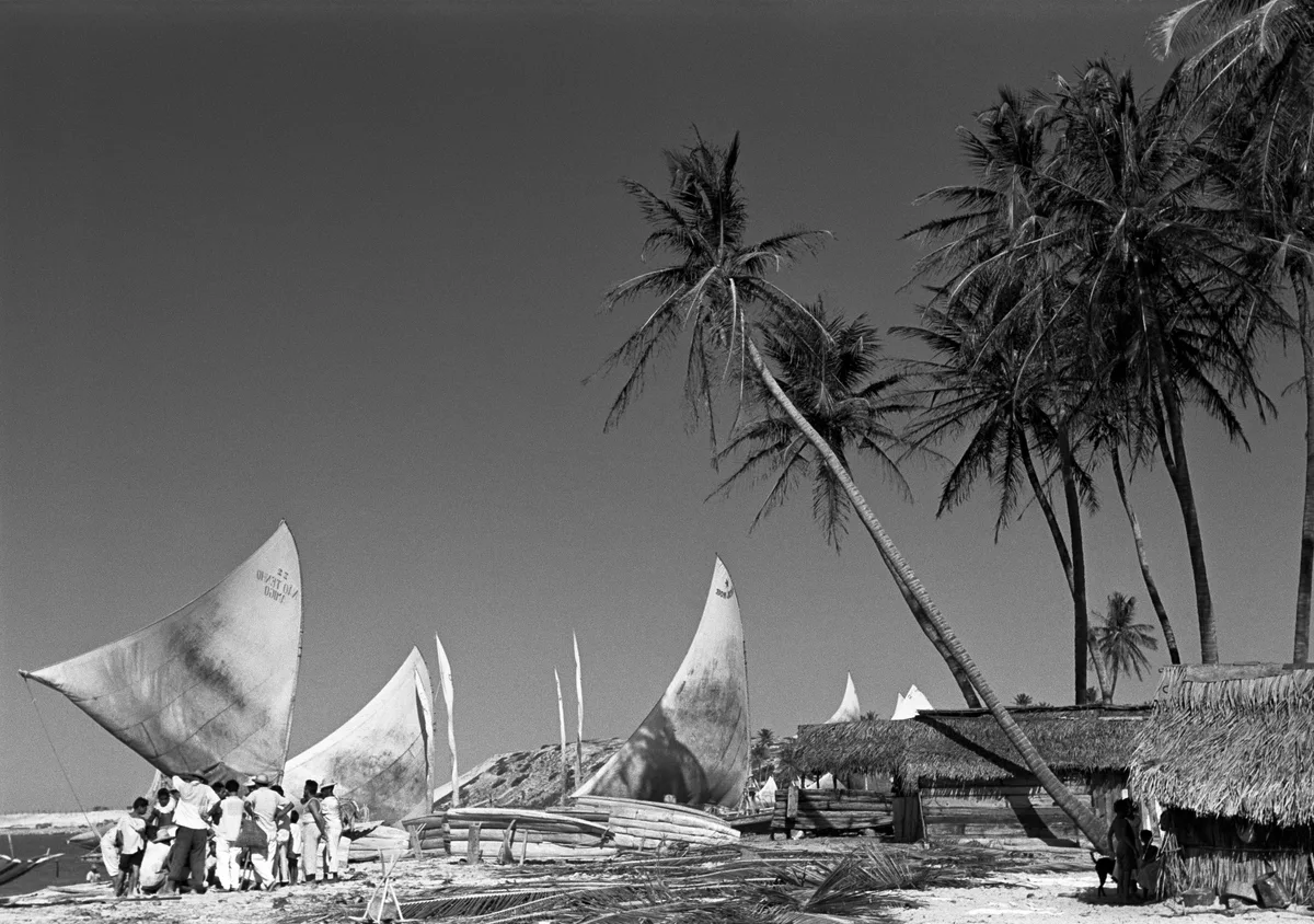 Jangadas e coqueiros na praia